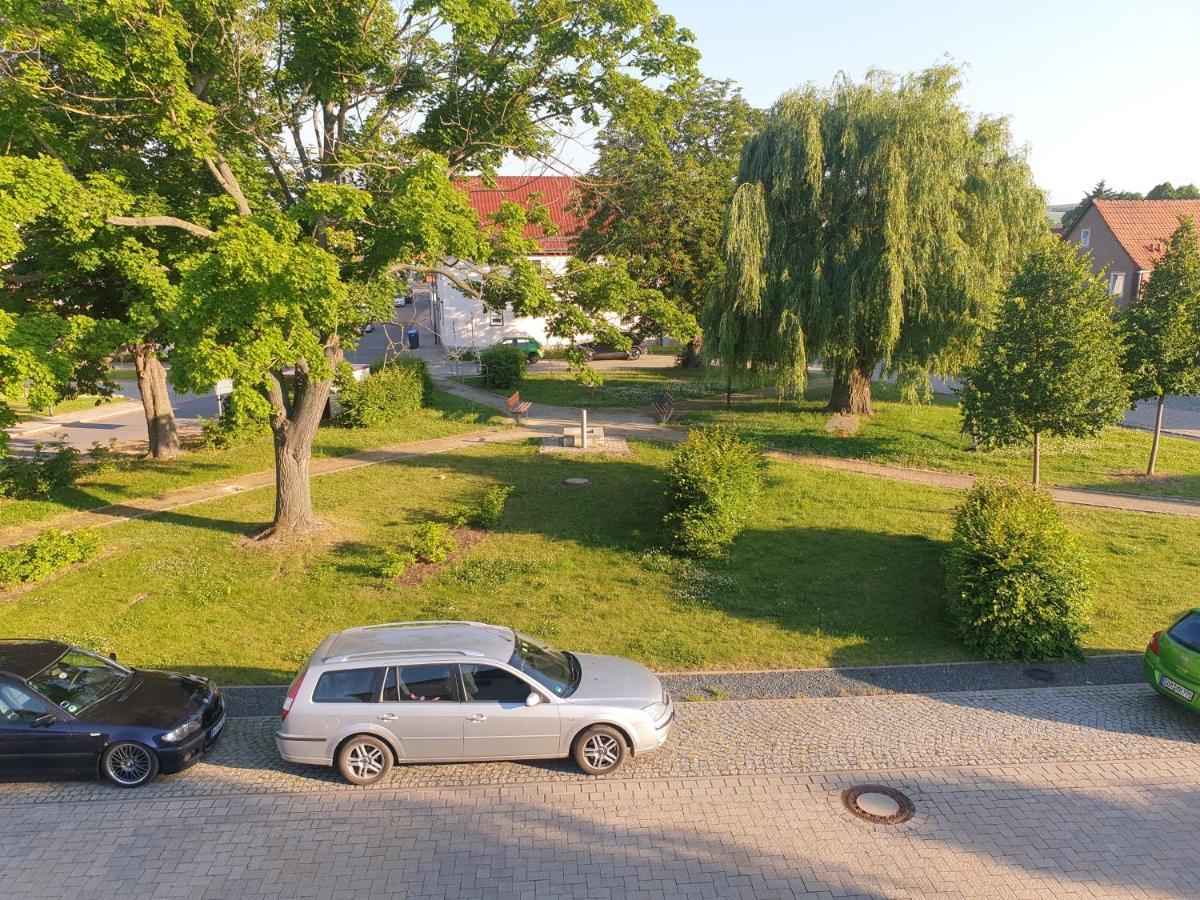 Ganze Ferienwohnung 5 Km Von Erfurt, Mit Kaffeevollautomat, Tv, Wlan, Boxspringbett, Schlafsofa Und Einkaufsmoeglichkeiten, Sehr Gute Anbindung Zur A71 Und A4, Kostenloser Oeff Parkplatz Fuer Pkw Und Transporter Elxleben Eksteriør billede